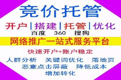 百度推广在电商行业的应用案例分析